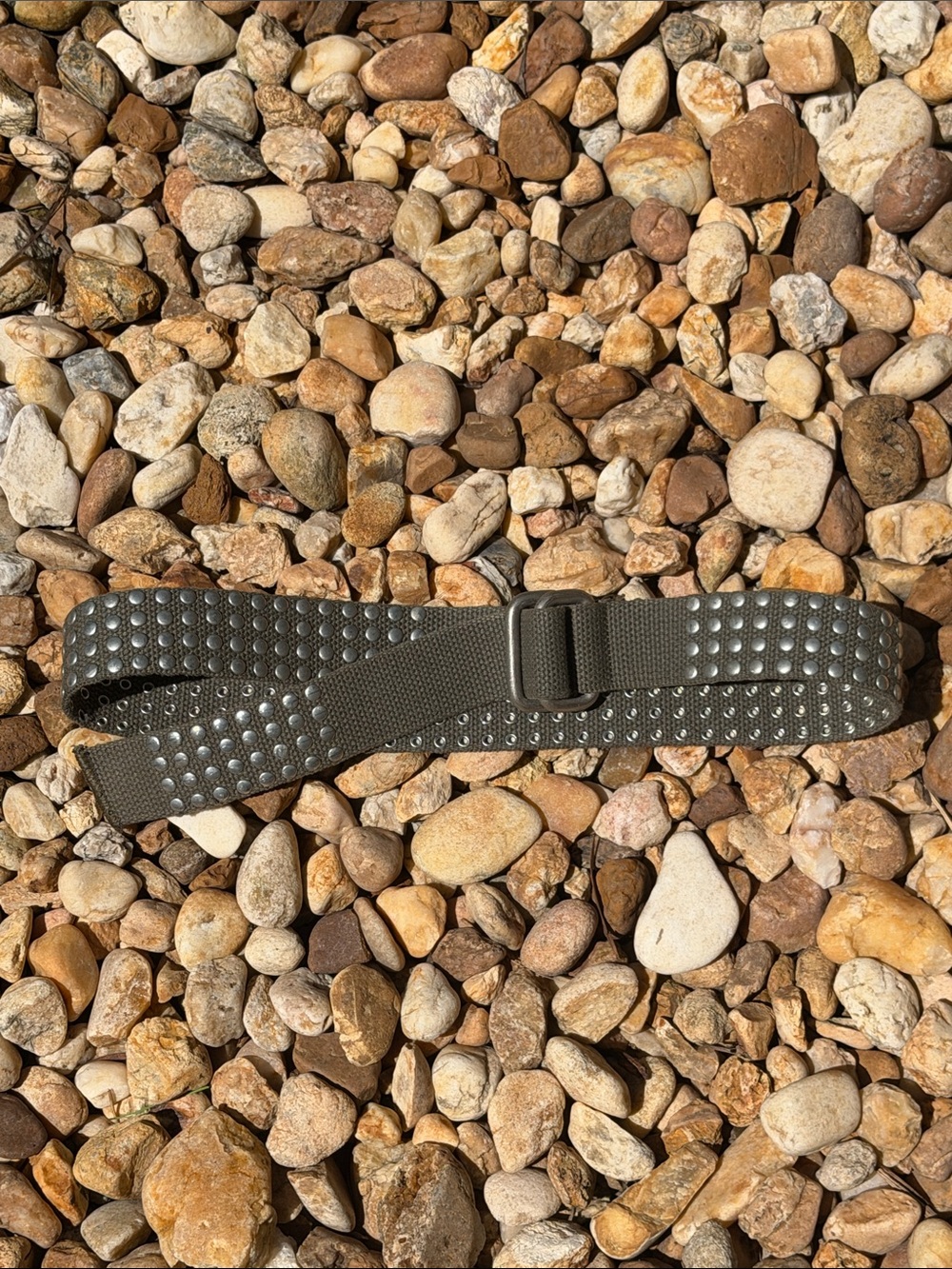 Olive Green Studded Web Belt — Women’s Fashion Accessory